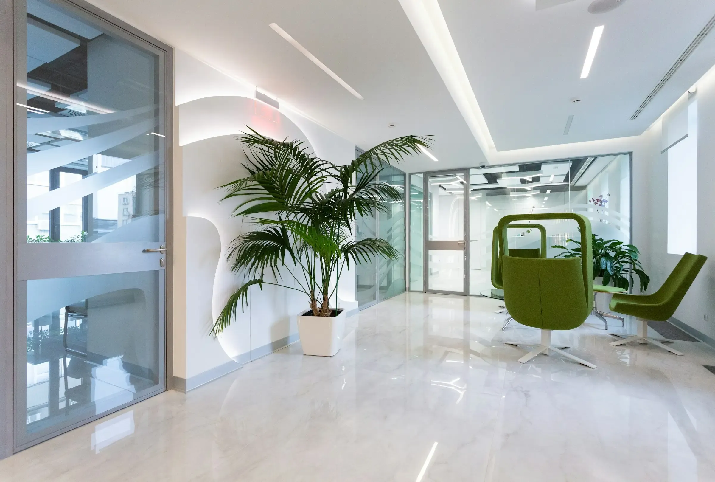 A bright office reception area with tall plants and white floors